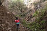 Bailey_Canyon_Falls_033_01212017 - Tahia at a rough landslide part where we had to backtrack and find the correct trail to get past it