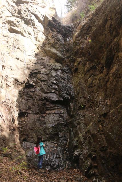 Bailey_Canyon_Falls_050_01212017 - Tahia standing next to a trickling Bailey Canyon Falls on her second visit a year after her first visit