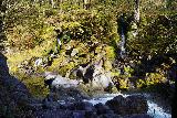 Bake_Jizo_042_04152023 - More focused look at the smaller waterfalls across the Daiyagawa River in Kanmangafuchi Abyss