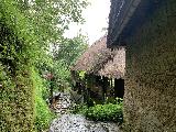 Bali_Pulina_059_iPhone_06182022 - Looking back at the tasting area at the Bali Pulina Coffee Tour
