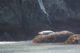 Bandon_Beach_17_085_08192017 - Another look at a sea lion basking on a rock at Bandon Beach