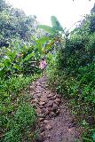 Bantu_Lantang_068_06192022 - Tahia on the rocky path leading us down to the Batu Lantang Waterfall