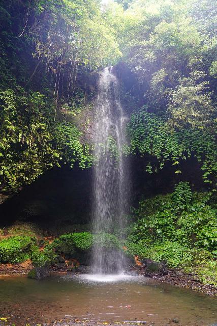 Banyumala_Amertha_050_06202022 - Frontal look at the lone Banyu Wana Amertha Waterfall that lets you go behind it