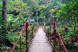 Banyumala_Twin_069_06202022 - Looking across one of the footbridges at the bottom of the Banyumala Twin Waterfalls