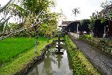 Bebek_Joni_011_06172022 - Looking back across a fountain separating the rice field and the Bebek Joni Restaurant