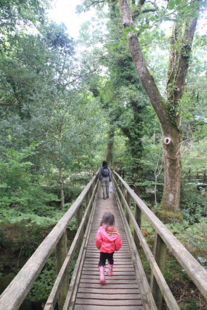 Becky_Falls_023_09062014 - Julie and Tahia walking through an ancient oak woodland inside the Becky Falls Woodland Park