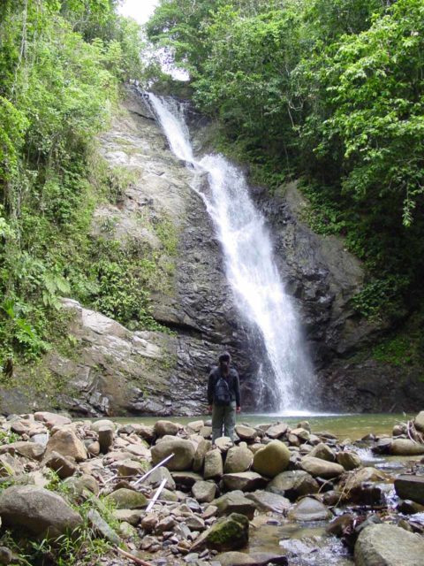Biausevu_013_12272005