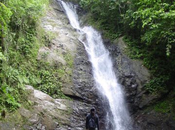 The Biausevu Waterfall (also known as Savu Na Mate Laya Falls) is a pretty 20m waterfall near the Biausevu village of southern Viti Levu. You can get to the trailhead of this...
