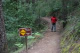 Big_Basin_017_04102010 - Cartello che ci avverte che stavamo andando su un sentiero faticoso verso Berry Creek Falls come visto nell'aprile 2010