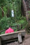 Big_Basin_068_04102010 - E' facile sedersi qui e stare a guardare durante la nostra visita dell'aprile 2010 alle Berry Creek Falls come escursione out-and-back