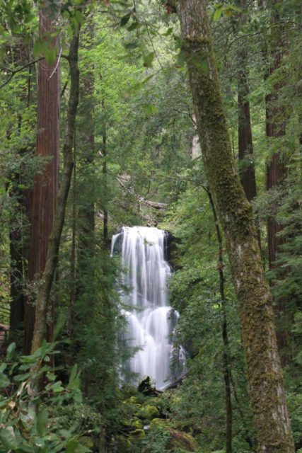 Big_Basin_079_04102010 - Vista di Berry Creek Falls dalla panchina di riposo sulla discesa che porta al ponte panoramico alla sua base