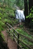 Big_Basin_084_04102010 - Avvicinandosi al ponte panoramico proprio di fronte alle Berry Creek Falls durante la nostra visita dell'aprile 2010, dove abbiamo avuto una migliore illuminazione e una migliore portata rispetto alla nostra visita di aprile 2019