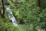 Big_Basin_112_04102010 - Blick auf die Berry Creek Falls durch das Gestrüpp vom Weg hinter der Aussichtsplattform aus gesehen im April 2010