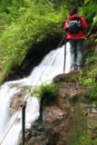 Big_Basin_170_04102010 - Julie wspinająca się wyżej niż krawędź wodospadu Silver Falls podczas naszej wyprawy z powrotem do Berry Creek Fallsi powrotnej wędrówki Berry Creek Falls w kwietniu 2010