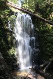 Big_Basin_Loop_351_04232019 - Finalmente llegando al mirador de las cataratas Berry Creek en abril de 2019