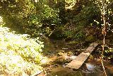 Big_Basin_Loop_412_04232019 - Blick zurück auf die Kreuzung des West Waddell Creek auf dem Skyline-to-the-Sea Trail auf dem Weg zum Park Headquarters während meiner Wanderung im April 2019