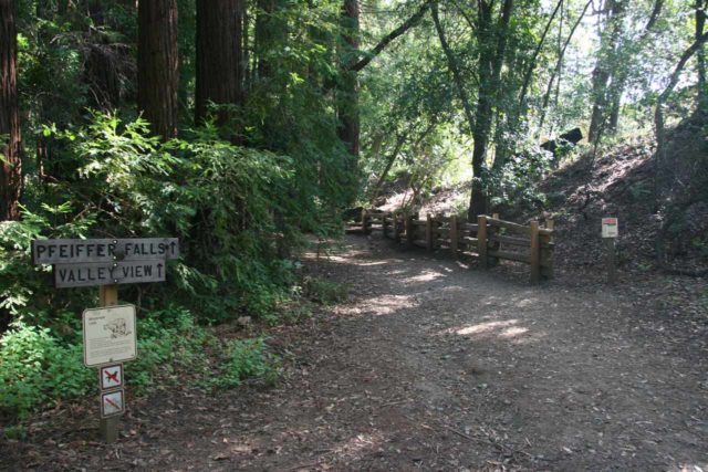 Big_Sur_State_Park_005_03192010 - The signed trailhead to get up to Pfeiffer Falls, which was actually different from where we started on our first visit here back in 2001