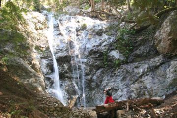 Pfeiffer Falls is a small multi-stranded 60ft waterfall typically within the shadowy forest confines within Pfeiffer Big Sur State Park.  This is one of the more popular...