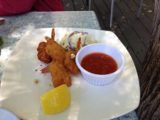 Bistro_107_003_iphone_06192016 - This was the coconut shrimp that came out last at Bistro 107 in Mt Shasta