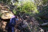 Black_Star_Canyon_Falls_140_01082023 - Mom hanging onto some branches for leverage on climbing up this steep bouldery slope during our January 2023 visit