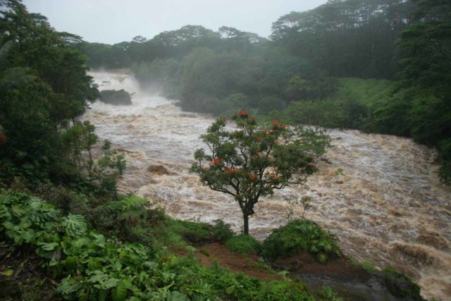 Pe'epe'e Falls and Boiling Pots in flood during a crazy rain storm that socked in windward Big Island on Super Bowl Weekend in February 2008