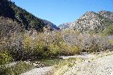 Bonita_Falls_012_01182021 - En regardant vers Lytle Creek, j'ai été assez surpris de voir à quel point le débit existait même si nous étions à la mi-janvier. C'était presque comme si le printemps était déjà arrivé deux mois plus tôt !