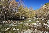 Bonita_Falls_015_01182021 - Durante nuestra visita de enero de 2021, asumimos que Lytle Creek fluiría bajo dado el invierno seco y cálido que tuvimos. Por lo tanto, no estábamos preparados y no teníamos un cambio de zapatos para pasar fácilmente por este cruce de Lytle Creek't have a change of shoes to easily get by this crossing of Lytle Creek