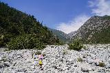 Bonita_Falls_038_06122020 - Es war definitiv einfacher für uns, soziale Distanz beim Wandern im Boulderfeld während unserer Bonita Falls-Wanderung im Juni 2020 zu erreichen