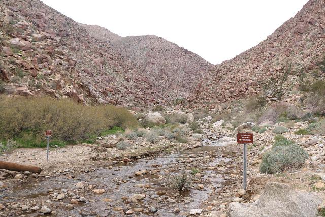 Borrego_Palm_Canyon_069_02092019 - Closure signs discouraging creek hiking to the bottom of the first waterfall so that bighorn sheep can have a clear path to water without people spooking them
