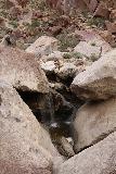 Borrego_Palm_Canyon_085_02092019 - Portrait look at the first Borrego Palm Canyon Falls from an outcrop yielding the cleanest view that I could get of it