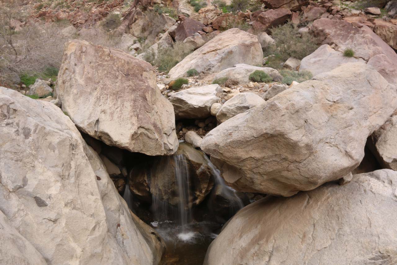 Borrego Palm Canyon Falls was our main waterfalling excuse to explore the most popular trail in the Anza Borrego State Park. The Borrego Palm Canyon Trail earned its notoriety because the...