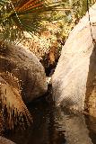 Borrego_Palm_Canyon_152_02092019 - Looking over a very cold and deep pool towards another hidden cascade near the end of the official Borrego Palm Canyon Trail