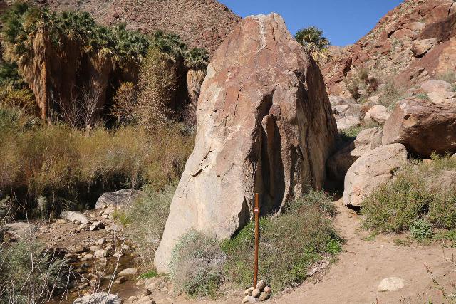 Borrego_Palm_Canyon_227_02092019 - Looking back at the misleading arrow pointing towards the stream crossing and the fan palm oasis at the end of the trail, but the sign seemed to point you away from the trail to the right of this large rock