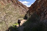 Borrego_Palm_Canyon_231_02092019 - Julie following the Borrego Palm Canyon Trail back towards the trailhead