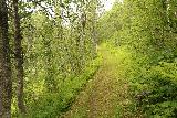 Bredekfossen_142_07092019 - Continuing on the grassy trail leading closer to the Bredek Farm