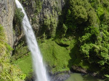 Bridal Veil Falls was one of the more picturesque waterfalls we had seen in the North Island.  This particular waterfall was located near the surfing town of Raglan. What made the falls stand out...