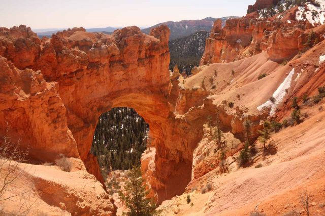 Bryce_Canyon_Natural_Bridge_008_04032018 - Impressive arch formation (actually mislabeled a 'natural bridge') seen by the road in the southern portion of the main part of Bryce Canyon