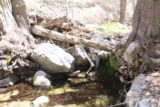 Buckhorn_Falls_002_05012016 - Negotiating log and boulder obstacles while scrambling up Buckhorn Creek