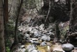 Buckhorn_Falls_010_05012016 - The long boulder scramble continued in Buckhorn Creek