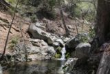 Buckhorn_Falls_016_05012016 - Another look at the tiny 5ft waterfall on Buckhorn Creek