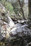 Buckhorn_Falls_026_05012016 - There was quite a bit of rock scramble around this hidden waterfall obstacle on Buckhorn Creek