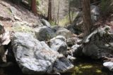 Buckhorn_Falls_031_05012016 - Still more bouldering around small waterfall obstacles on Buckhorn Creek