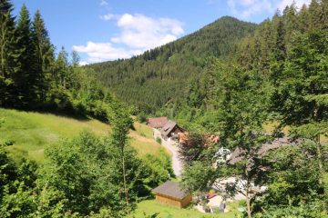 Burgbach_Waterfall_092_06222018