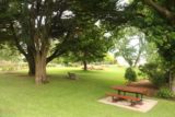Burnie_Park_17_011_12012017 - Looking towards more picnic tables, benches, and grassy lawns in Burnie Park during our December 2017 visit