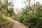 Burnie_Park_17_035_12012017 - As we left the picnic area and playground behind in Burnie Park during our December 2017 visit, we were suddenly in a lush area almost making us forget we were in a city