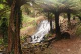 Burnie_Park_17_044_12012017 - This was the dead-end at the intermediate waterfall as seen during our December 2017 visit, which was where the false path would take me if I didn't take the steps to go higher