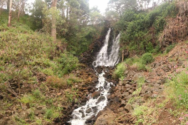 Burnie_Park_17_051_12012017 - Oldaker Falls