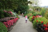 Butchart_Gardens_017_08022017 - Julie and Tahia making their way to the Japanese Garden while walking by some other impressive flowers along the way at the Butchart Gardens
