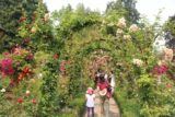 Butchart_Gardens_029_08022017 - Julie and Tahia walking beneath some flower tunnel within the Butchart Gardens en route to the Japanese Garden