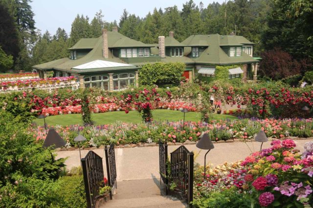 Butchart_Gardens_063_08022017 - The famous Butchart Gardens was about 73km northeast of Sandcut Beach, which gives you an idea of how far you have to drive from Vancouver Island's most popular attraction for an escape like this